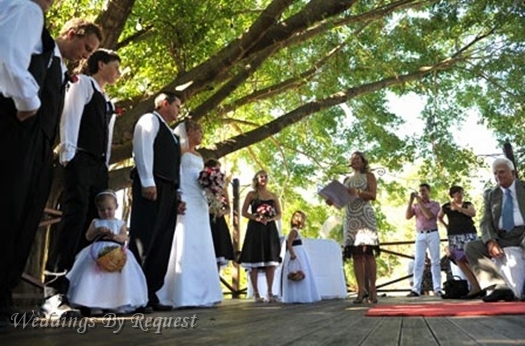 Weddings By Request - Gayle Dean, Celebrant -- 2030.jpg